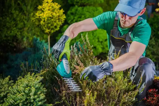 landscaping services Glasco